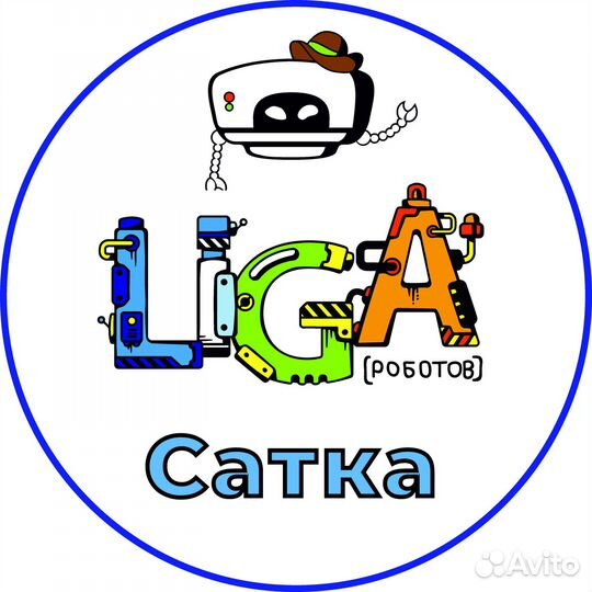Преподаватель школы робототехники 
