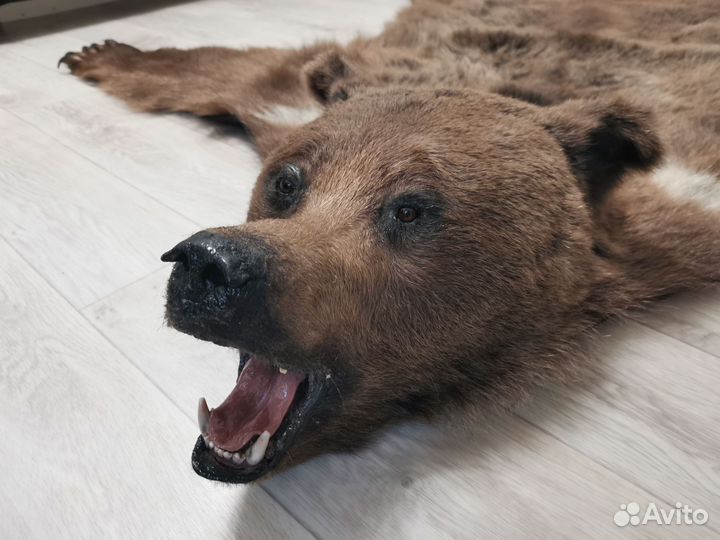 Шкура медведя имитация