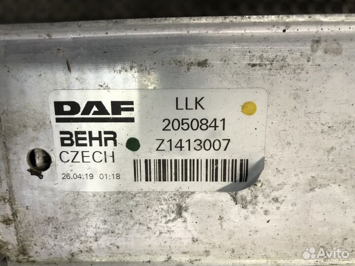 Интеркулер Daf XF106