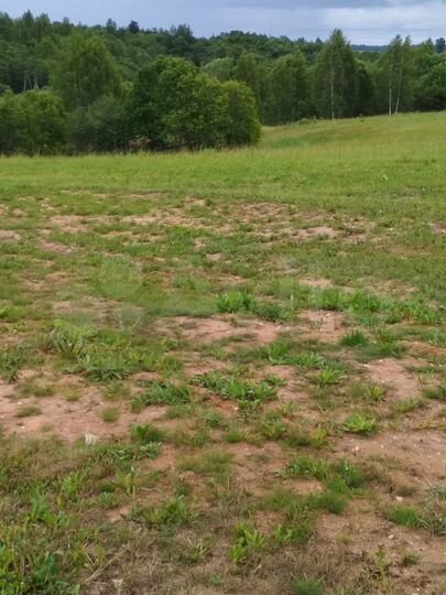 Участок 11 сот. (ИЖС)