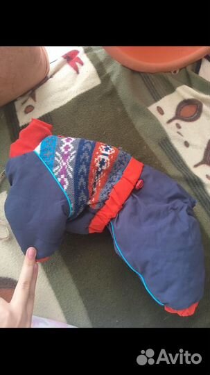 Костюм для собак