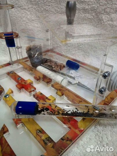 Муравьиная ферма AntGround большая