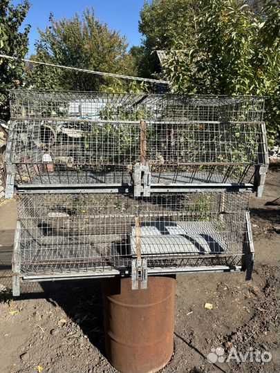 Клетка дя кролов