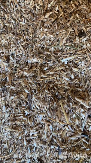 Зерно и зерноотходы