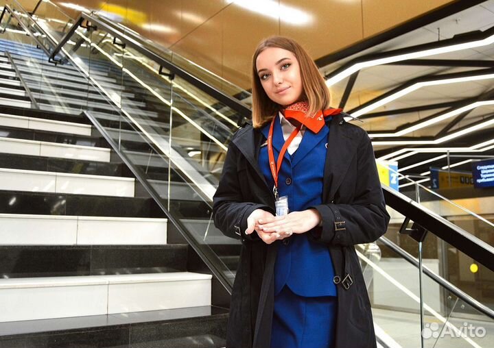 Форма стюардессы ак 