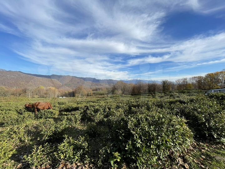 Участок 5 сот. (СНТ, ДНП)