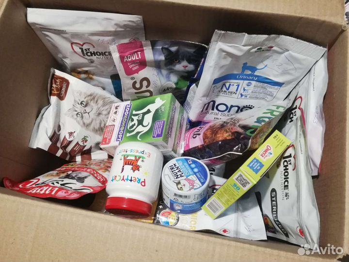 Сухой корм 10 уп + влажный + тест + 3 шт лакомства