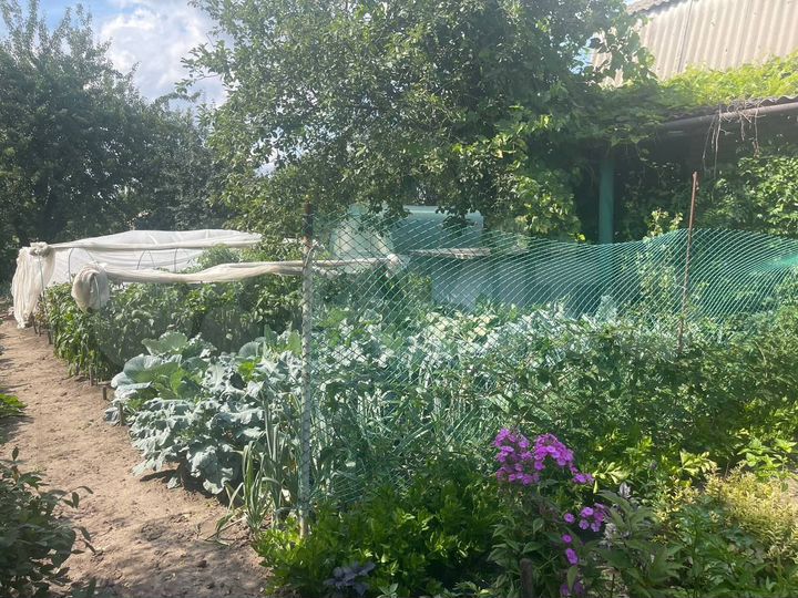 Дача 20 м² на участке 7 сот.