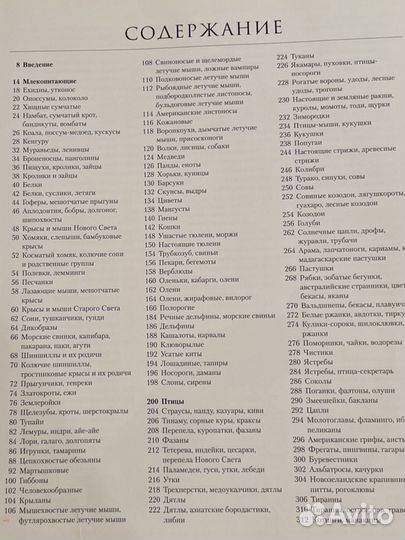 Энциклопедия