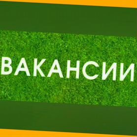 Сборщик авто вахта Выплаты еженедельно Жилье/Еда +Хорошие условия