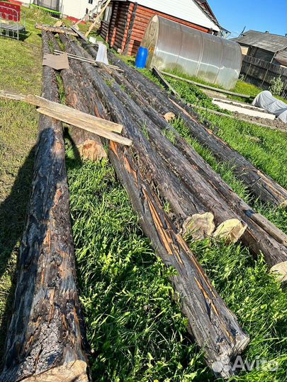 Круглый лес(полухлысты)диаметр от 20(12шт)