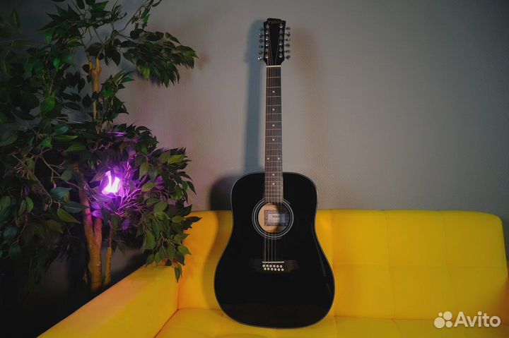 12-струнная Акустическая Гитара с Чехлом