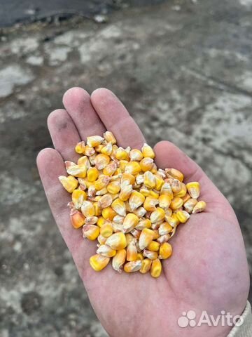 Зерно оптом в мешках