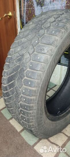 Gislaved Nord Frost 200 185/65 R15