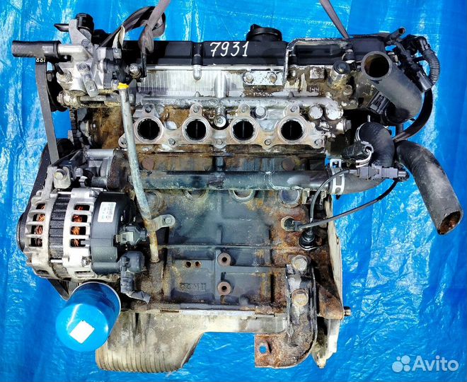 Двигатель Hyundai G4EC 1.5л., dohc, VVT-i, 16v, 10