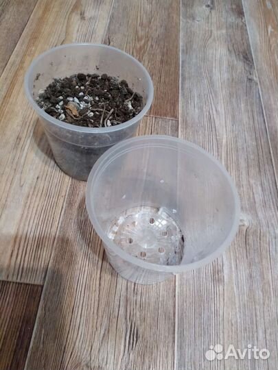 Грунт обмен, горшок для орхидей