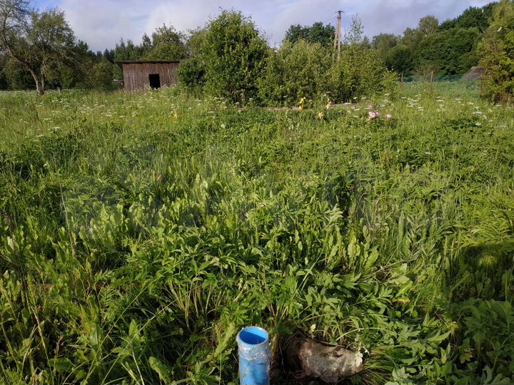 Участок 41 сот. (ИЖС)