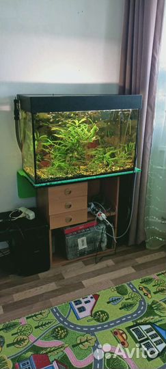 Аквариум с тумбой, рыбками
