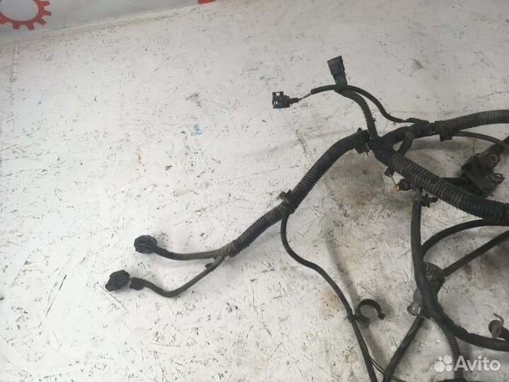 Проводка двигателя (коса) Ford Focus 2 хэтчбэк 1.6