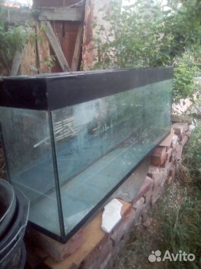 Аквариум
