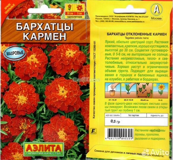 Бархатцы