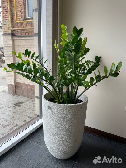 Вазоны для цветов