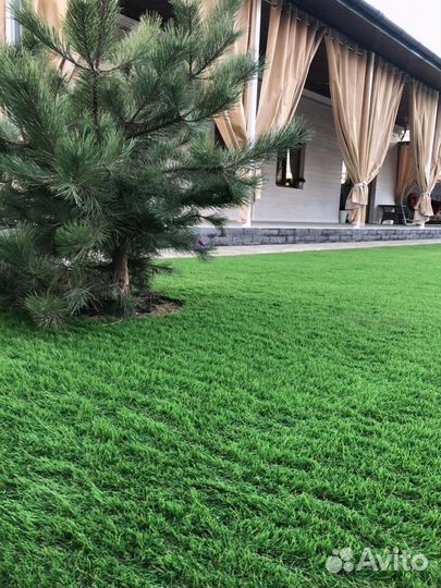 Трава в рулонах MC grass