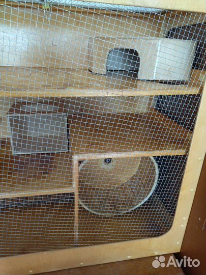 Клетка, витрина для дегу, шиншилл, грызунов