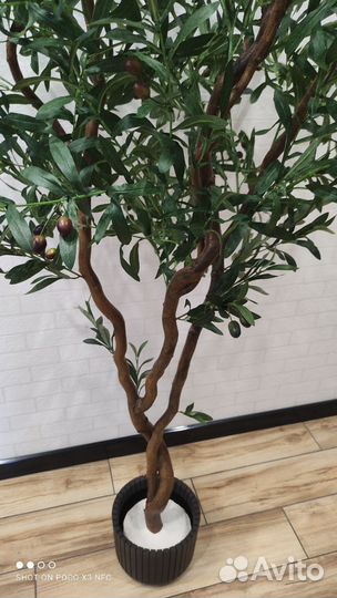 Искусственные деревья Олива, бонсай, бумбук