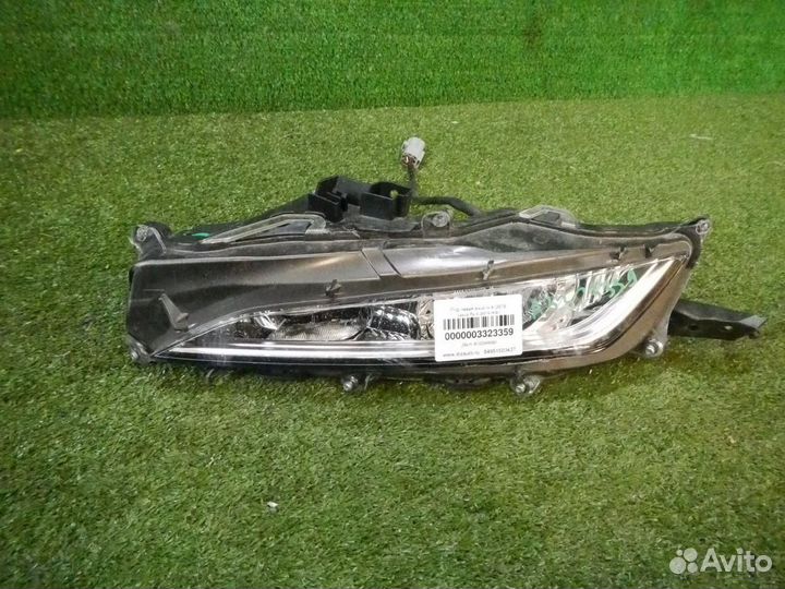 Птф левая Lexus RX 4 (2019-н.в.)