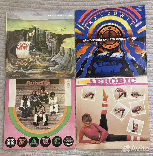 Винил демократы