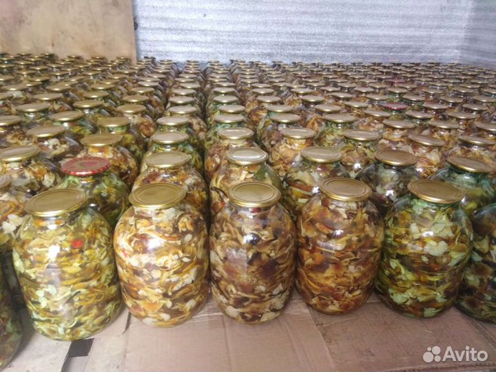 Маринованные Грибы Опята