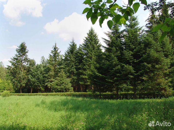 Участок в лесу 25 соток ИЖС