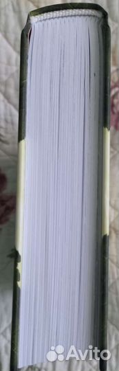 Книга Спайдервик