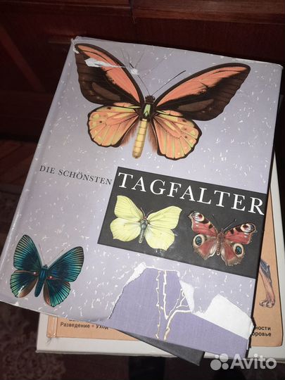 Каталог бабочек на немецком (любителям Набокова)