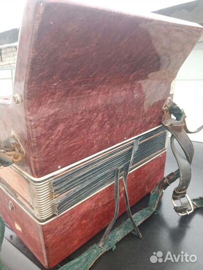 Аккордеон юность 2