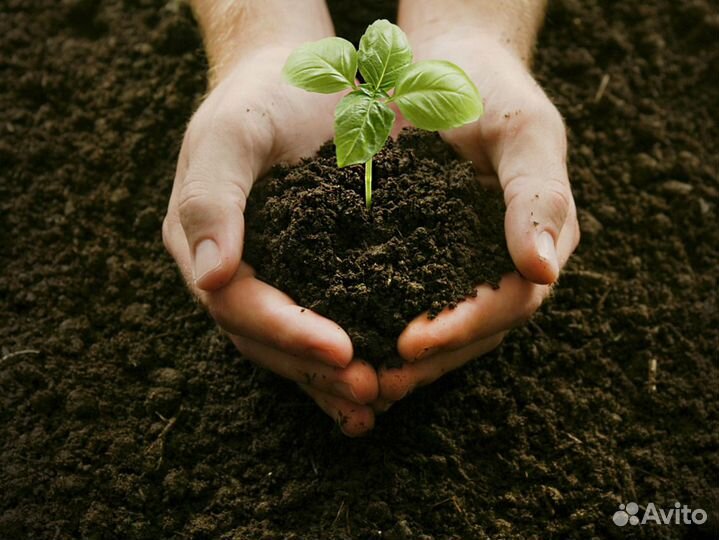 Торфогрунт