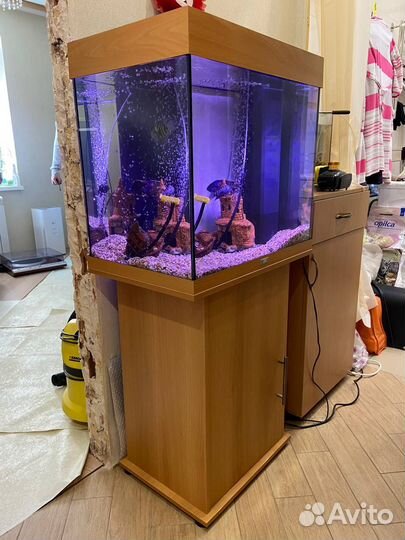 Аквариум с рыбами juwel 120 бу