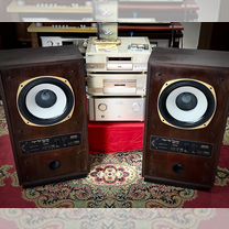 Колонки Tannoy Super Red Monitor srm 12x отправка