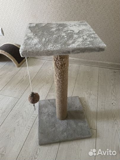 Когтеточка