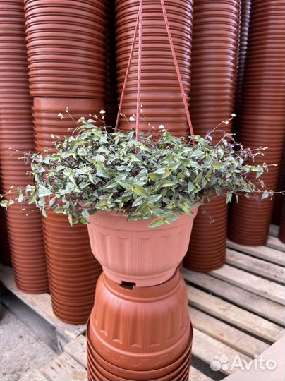 Кашпо подвесное 3,7 л