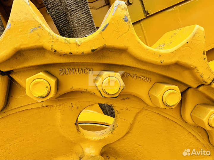 Beezone D16-5S, 2023