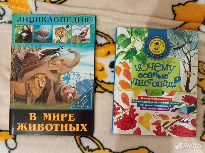 Учебные пособия для начальной школы