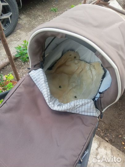 Коляска 2 в 1 teutonia