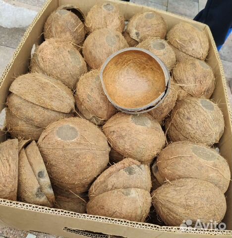 Кокосовая скорлупа