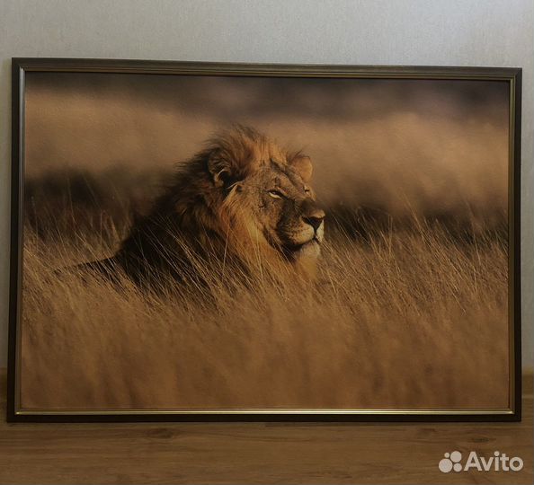 Картина в раме