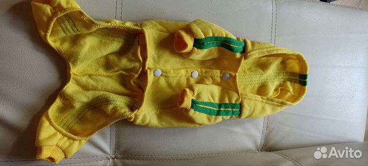 Одежда для маленьких собак