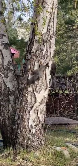 Дом 120 м² на участке 5 сот.