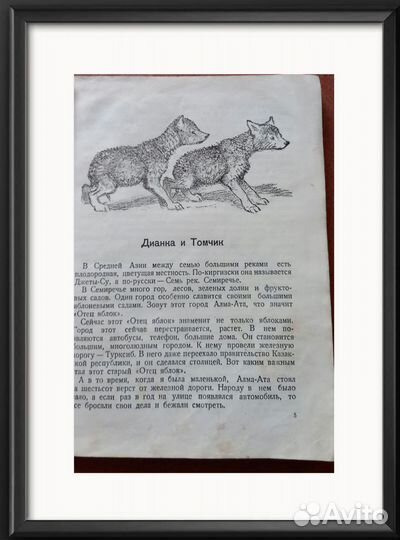 О.Перовская Ребята и зверята антикварная книга