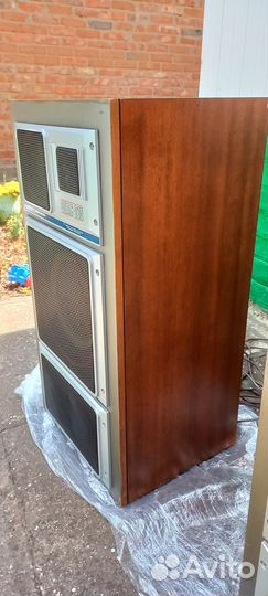 Акустическая система Электроника 35ас-015